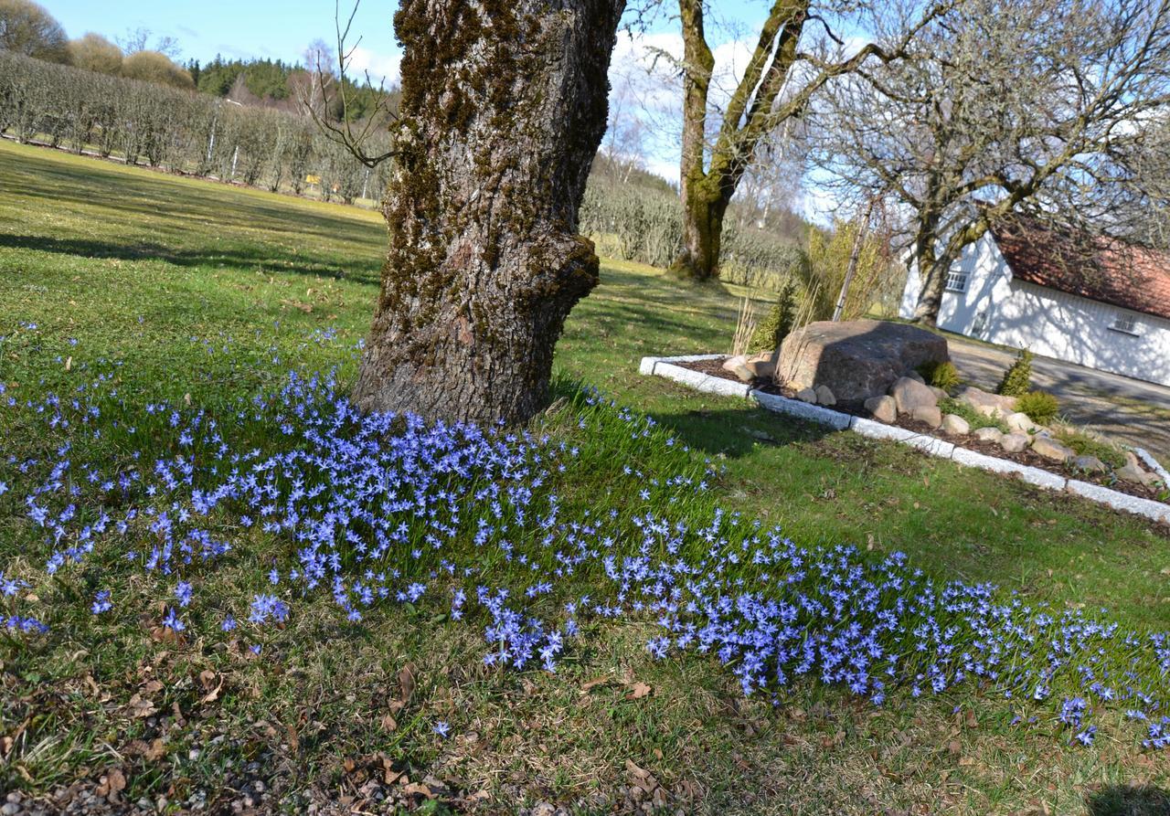 Mandy'S Inn Mjoback Exteriér fotografie